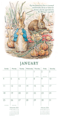 Calendar Square Peter Rabbit 2027