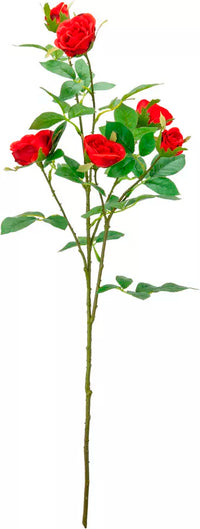 Eleganza Rose Spray Dark Red (6 Heads)