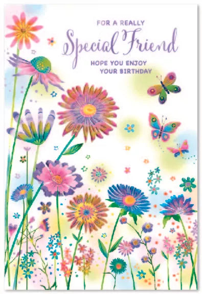 Simon Elvin C50 Birthday Special Friend 6pk