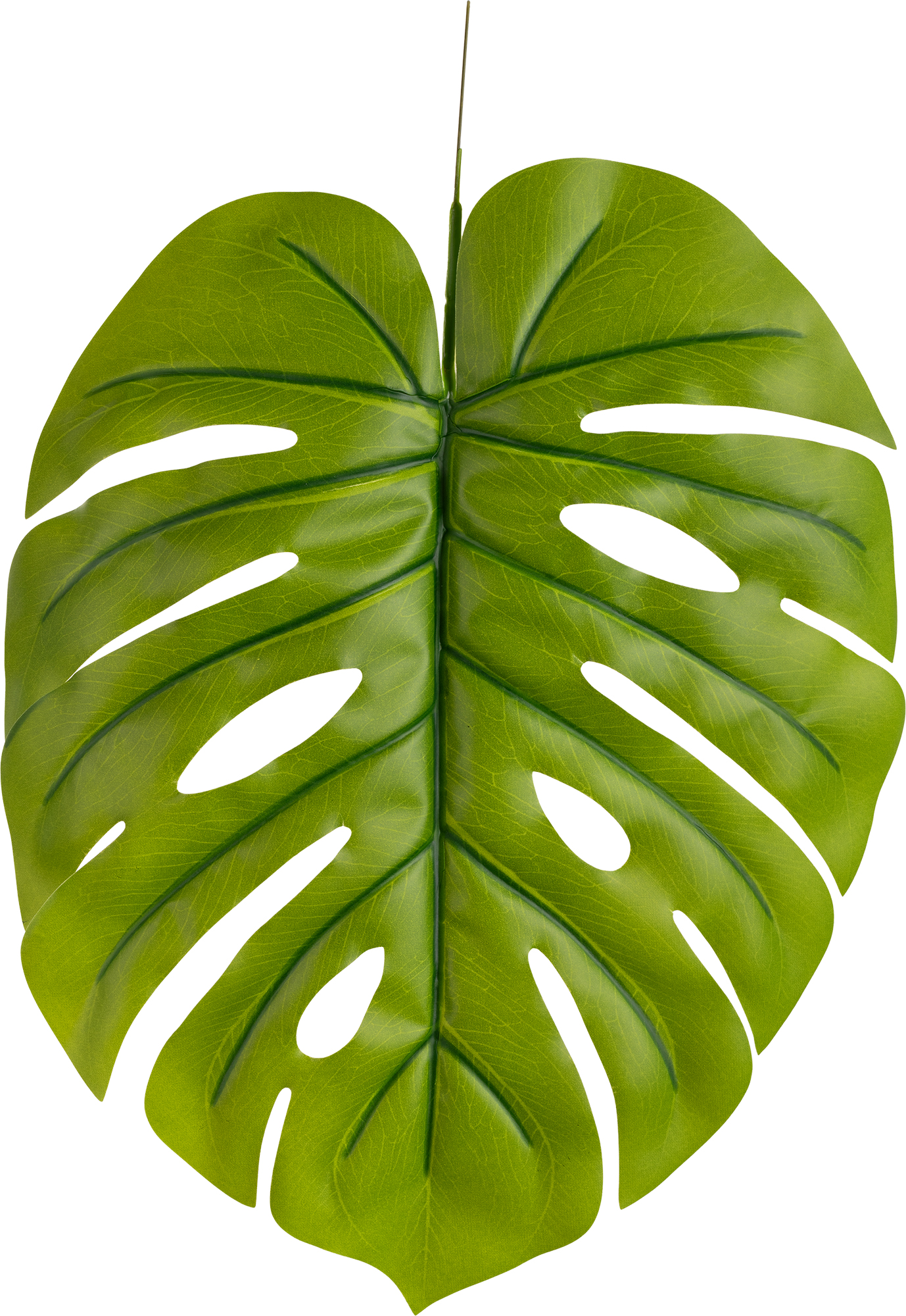 Eleganza Tarovine Leaf Green 16