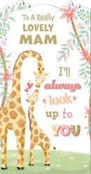 Prelude C55 Mother's Day Mam 6pk
