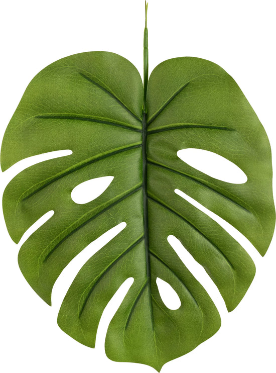 Eleganza Single Tarovine Leaf Green 19