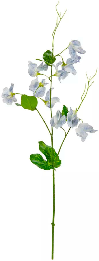 Eleganza Sweet Pea Spray Light Blue