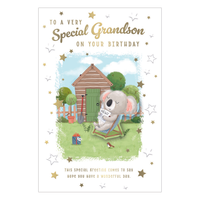 Prelude 6 Pack Cards C75 Birthday Grandson