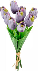 Eleganza Tulip Bunch Purple (9 Heads)
