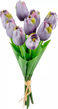 Eleganza Tulip Bunch Purple (9 Heads)