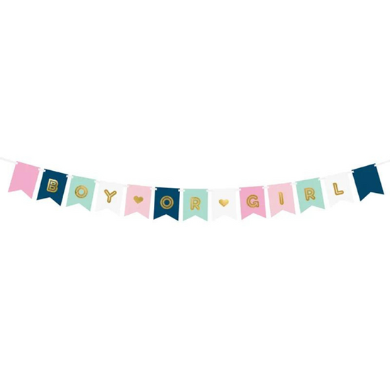PartyDeco Flag Banner Boy Or Girl 175cm