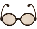 Fancy Dress Round Wizard Novelty Glasses