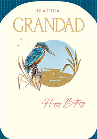 Regal C90 Birthday Grandad 6pk