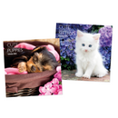 Calendar Square Kittens & Puppies 2027 12pk