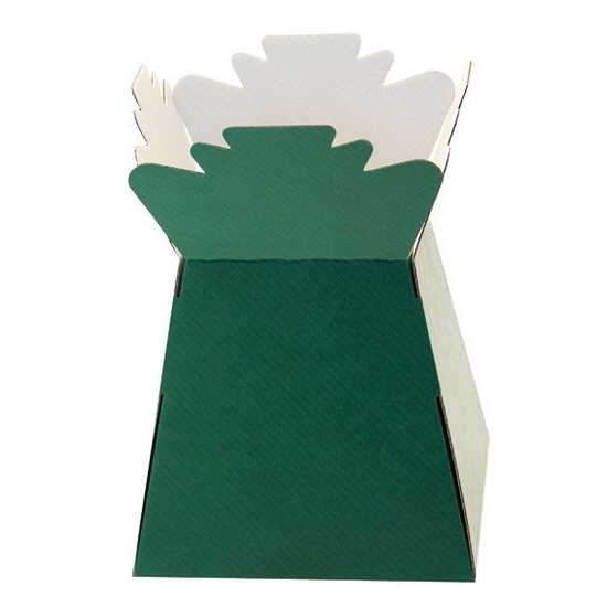 Green Living Vase Display Box 17.5cm x 24.5cm