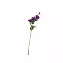 Lisianthus Purple