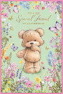 Simon Elvin C75 Birthday Special Friend 6pk