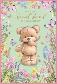 Simon Elvin C75 Birthday Special Friend 6pk