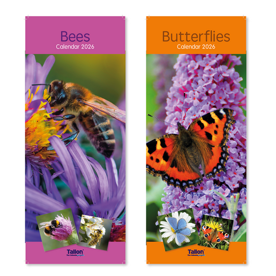 Calendar Super Slim Bees & Butterflies 2027 24pk