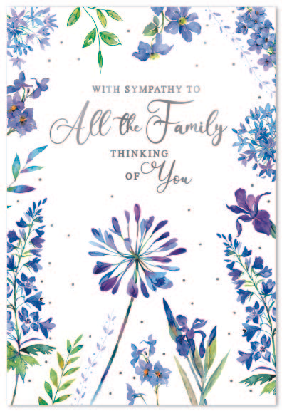 Simon Elvin C50 Sympathy All The Family 6pk