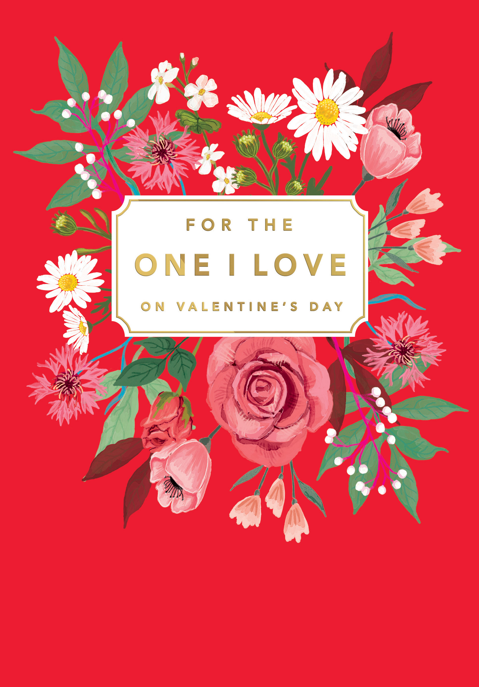 Regal C75 Valentine's Day One I Love 6pk