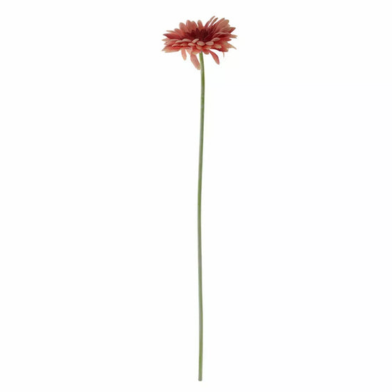 Gerbera Dusky Pink