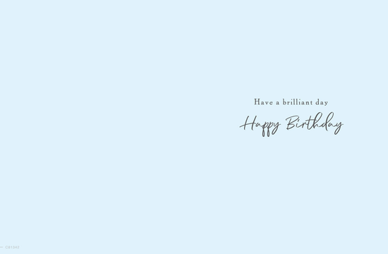 Regal 6 Pack Cards 8x6 Birthday Brother