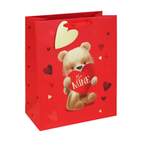 Eurowrap 12 Pack Gift Bag Cute Bear Large