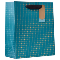 Partisan 6 Pack Gift Bag Symmetry Medium