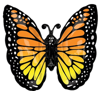 Anagram Foil Balloon Monarch Butterfly Glow 25