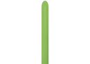 Sempertex Fashion Lime Green 260 Modelling 50pk