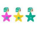 Dog Toy Star Fish 16x16x4cm (Colour May Vary)