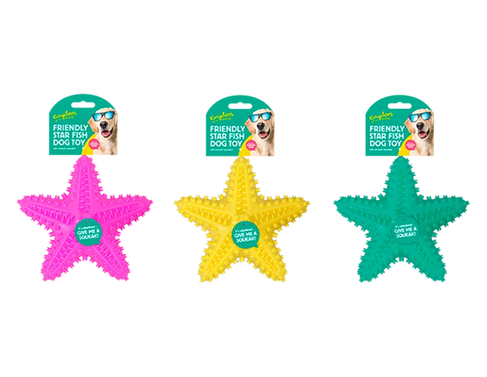 Dog Toy Star Fish 16x16x4cm (Colour May Vary)