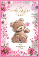 Set of six Simon Elvin C50 birthday sister cards featuring colorful designs and festive messages for celebrating your sister.