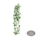 Eleganza Hanging Variegated Green Ivy Bush