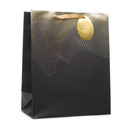 Tiger Feet 6 Pack Gift Bag Gold Hexagon Geo Large
