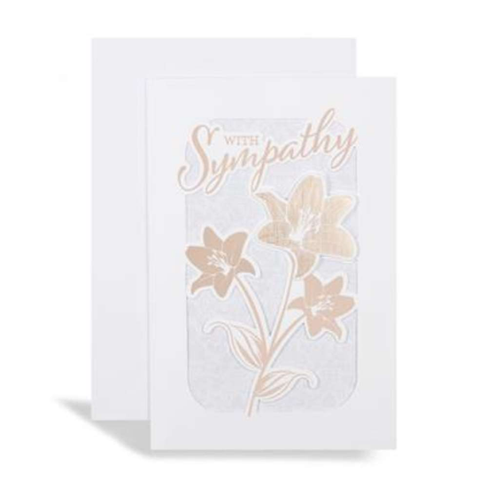 Prelude C75 Sympathy 6pk