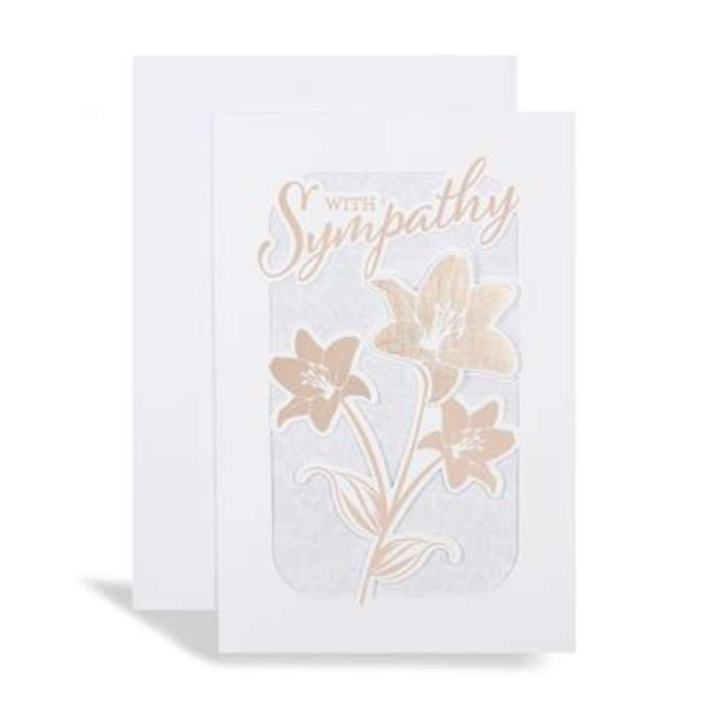 Prelude C75 Sympathy 6pk