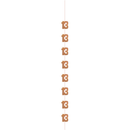 5ft hanging rose gold decor banner for 13th birthday party, glitzy and festive by Unique.