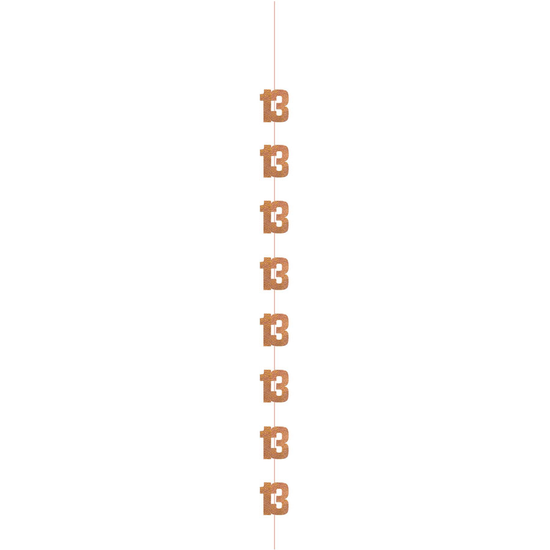 5ft Hanging D cor Age 13 Glitz Rose Gold