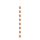5ft Hanging D cor Age 18 Glitz Rose Gold