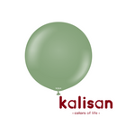 Kalisan Retro Eucalyptus Green 24" Latex 2pk