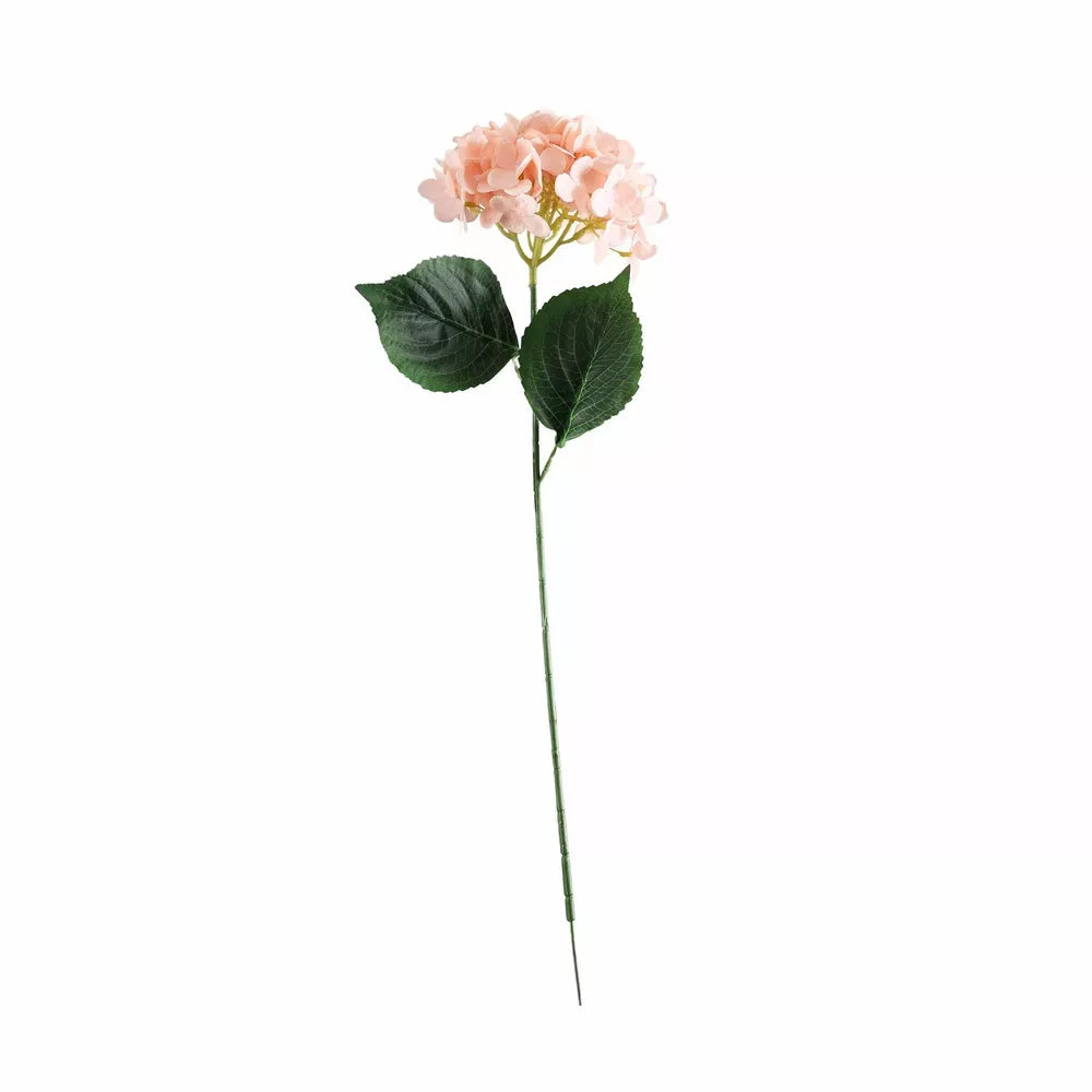 Hydrangea Pink