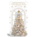 Prelude C55 Christmas Mum 6pk