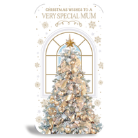 Prelude C55 Christmas Mum 6pk