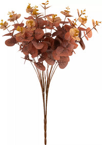 Eleganza Eucalyptus Bush Brown (16 Heads)