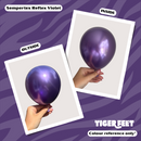 Sempertex Reflex Violet 5" Latex Balloons 50pk