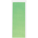 Light green crepe tissue paper from County Stationery, 1.5 meters by 50 centimeters, ideal for crafts and decorations.