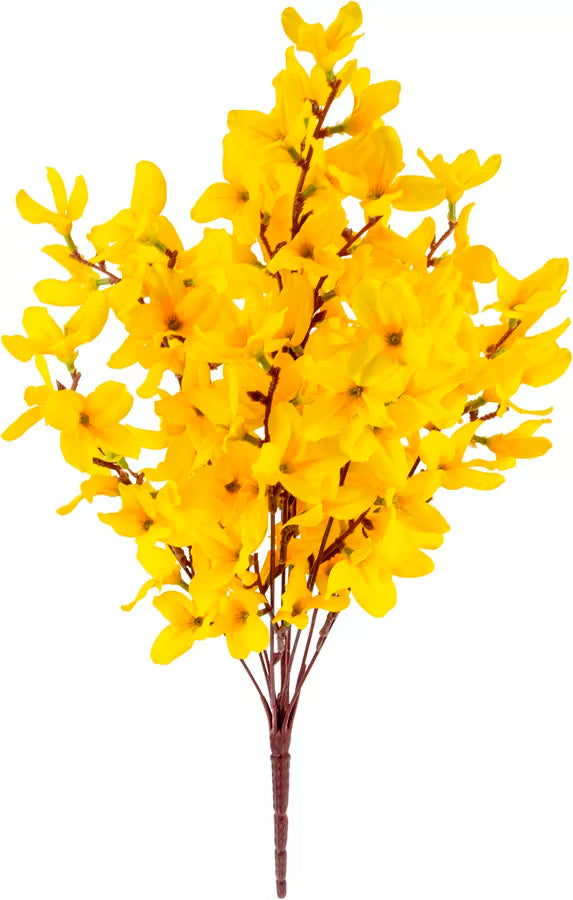 Eleganza Forsythia Bunch Yellow