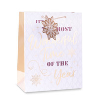 6pk Extra Large Portrait Gift Bags Text