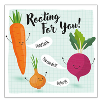 Hip To Be Square Back To School 6pk