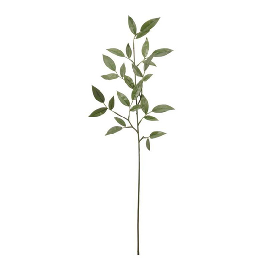 Ruscus Spray Leaves 74cm