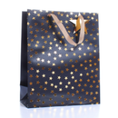 Tiger Feet 6 Pack Gift Bag Bags Stars Large