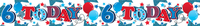 Age 6 Birthday Male Banner 2.6M 6pk